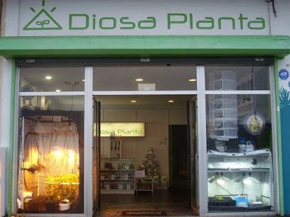 Grow Shop Diosa Planta La Coruña