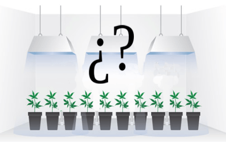Qué factores considerar al elegir luces de cultivo de marihuana en interiores
